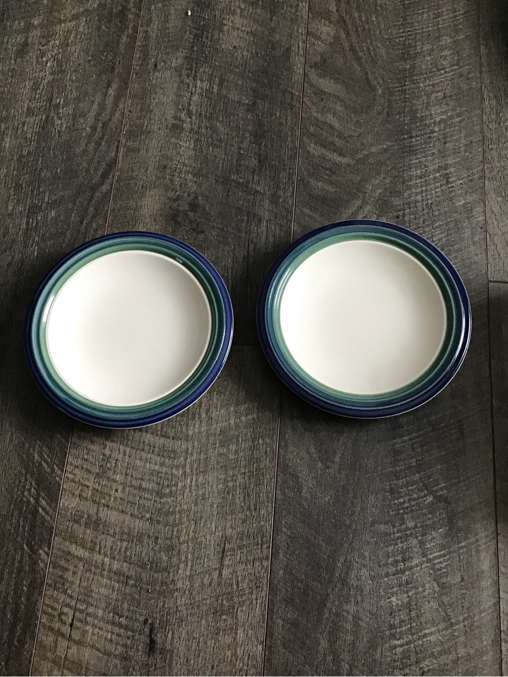 Pfaltzgraff Ocean Breeze 8” plates - Set of 2